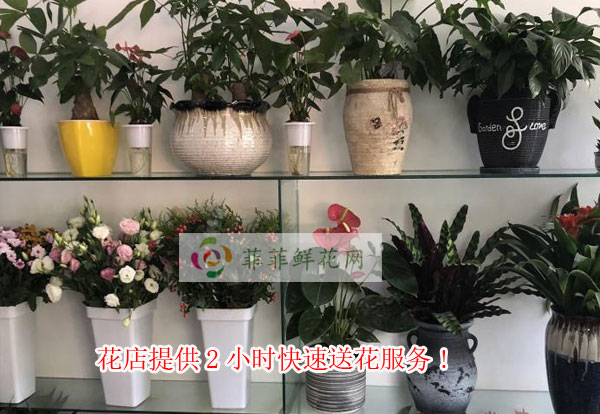 晋中祁县花店提供晋中祁县2小时快速送花服务